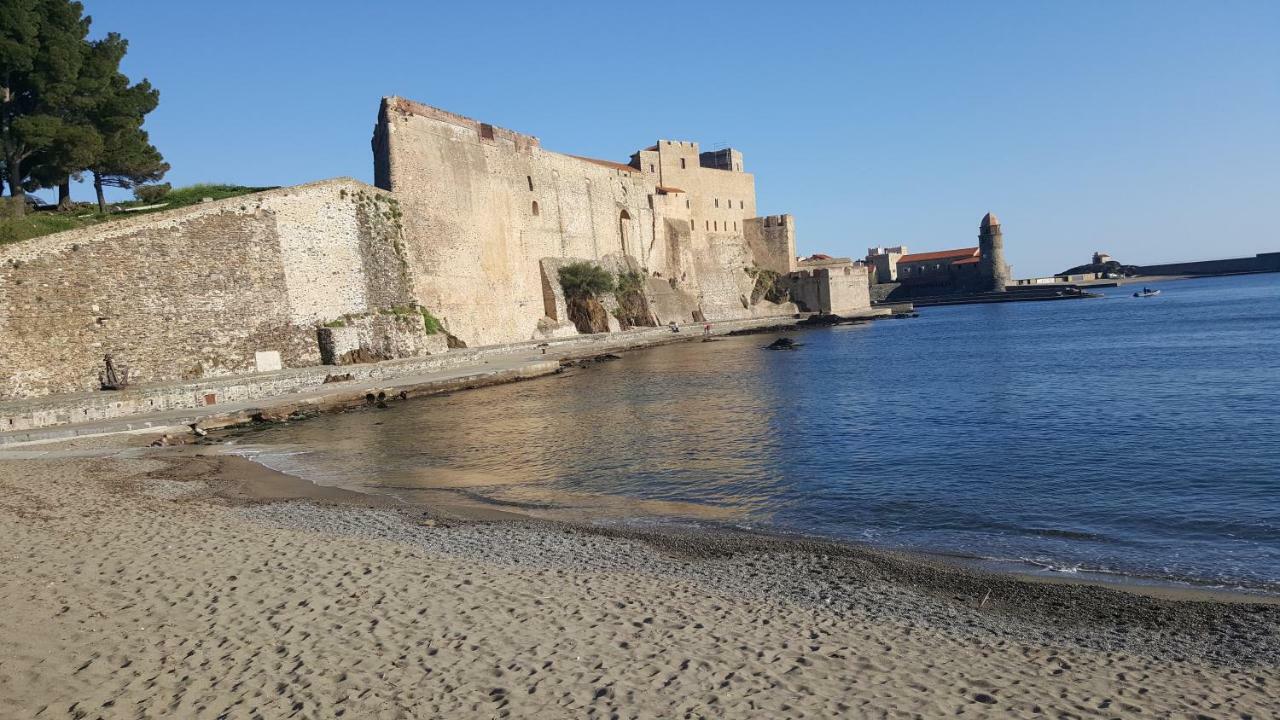 4Sap7 Appartement Avec Belle Terrasse Collioure Ruang foto